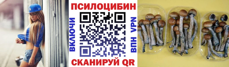 Галлюциногенные грибы Psilocybe  Могоча 